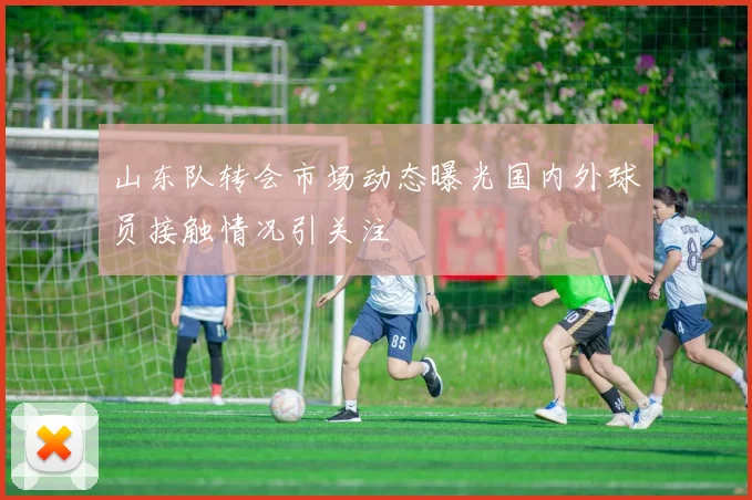山东队转会市场动态曝光国内外球员接触情况引关注