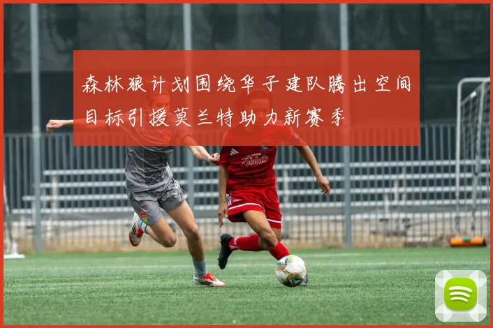 森林狼计划围绕华子建队腾出空间目标引援莫兰特助力新赛季