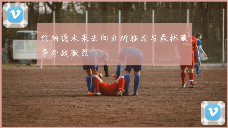 伦纳德未来去向分析猛龙与森林狼争夺战激烈