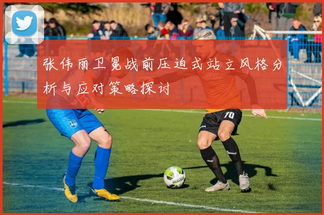 张伟丽卫冕战前压迫式站立风格分析与应对策略探讨