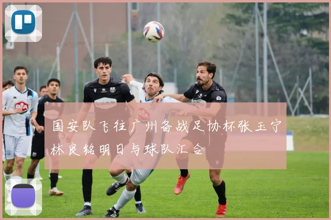 国安队飞往广州备战足协杯张玉宁林良铭明日与球队汇合